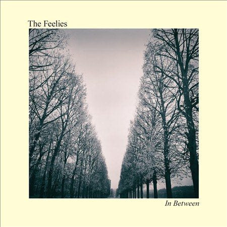 The Feelies In Between (Digital Download Card)
