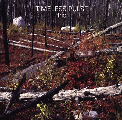 TIMELESS PULSE Trio
