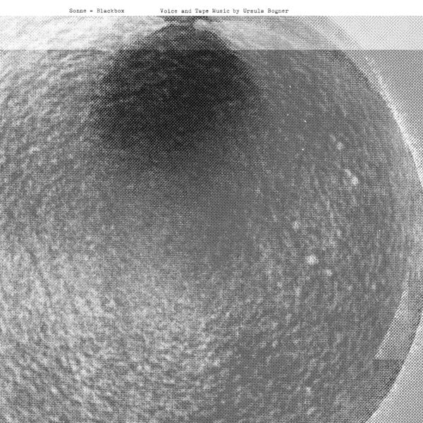 URSULA BOGNER Sonne = Blackbox