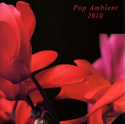 Va Pop Ambient 2010