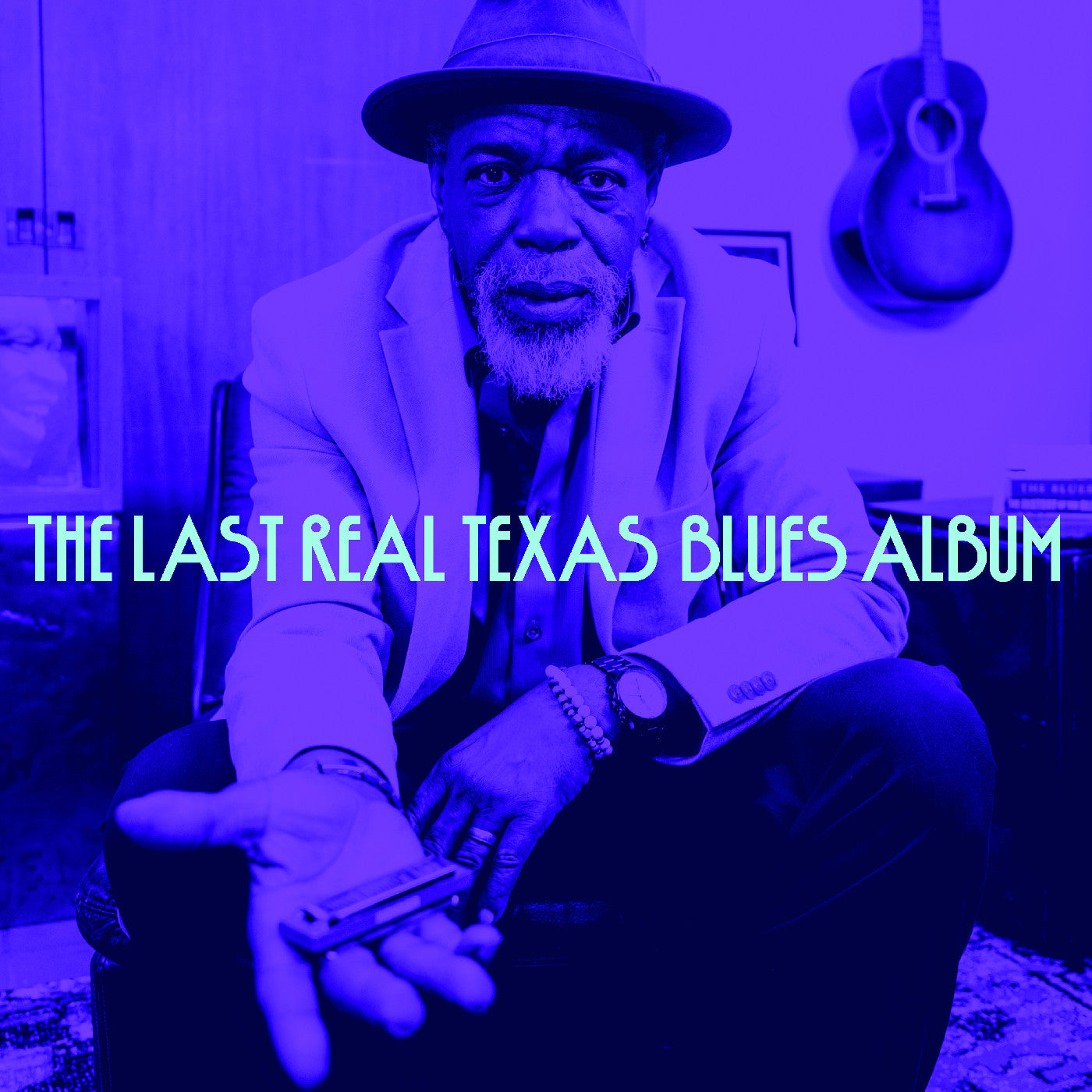 Various Artists The Last Real Texas Blues Album
